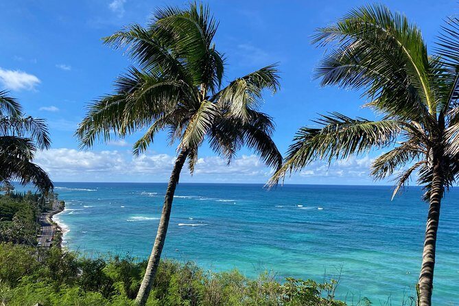 Private Circle Island Off-the-Beaten- Oahu Tour - Who’s It Best For?