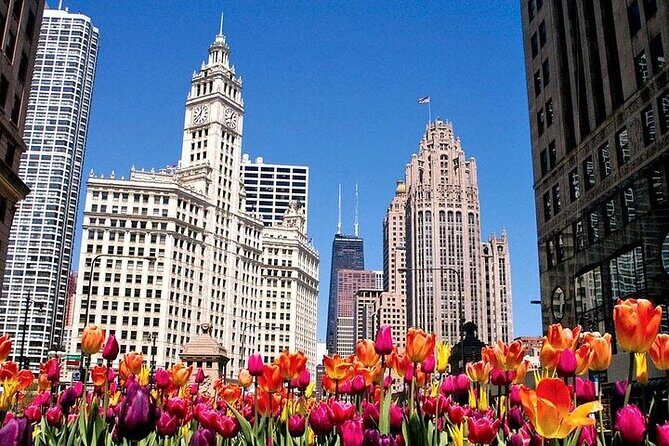 Private City Tour 6-10ppl - Why Choose This Private Chicago Tour?