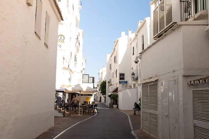 Private City Tour of Marbella and Puerto Banús from Malaga - Analyzing the Price: Is It Worth It?