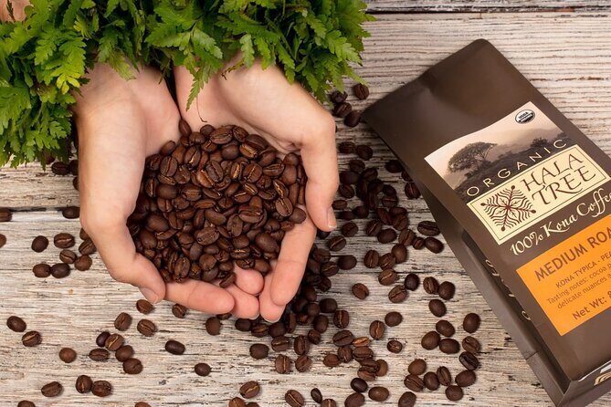 Private Coffee Roasting Class - Discovering Kona Coffee Through a Private Roasting Experience