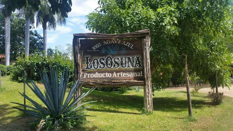 Private Colonial Tour Tequila and the Noria - A Deep Dive Into the Experience