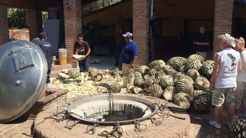 Private Colonial Tour Tequila and the Noria - Who Should Consider This Tour?