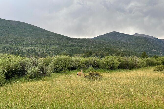 Private Colorado Springs City Tour from Denver - Who Should Consider This Tour?