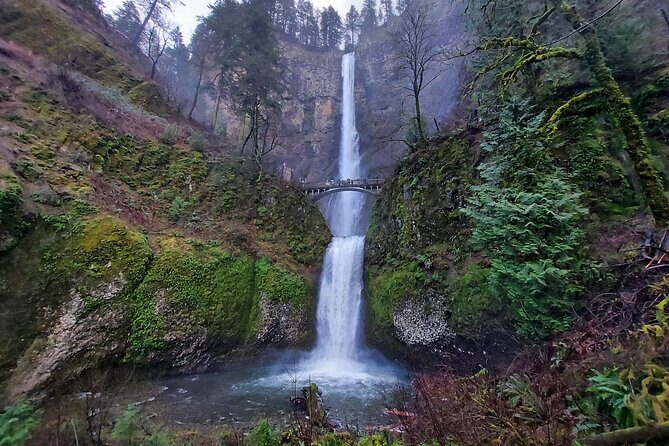 Private Columbia River Gorge Half-Day Tour - Price and Value