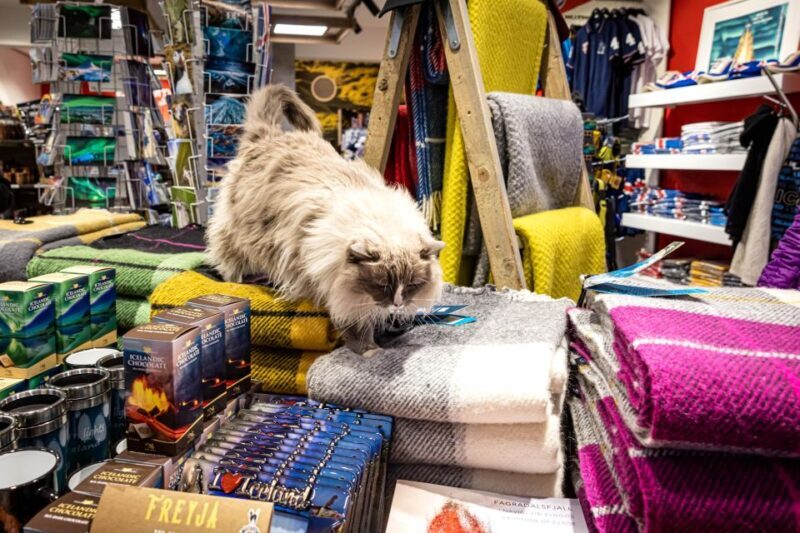 Private Combo Reykjavik Folklore & CatWalk - The Value of This Tour