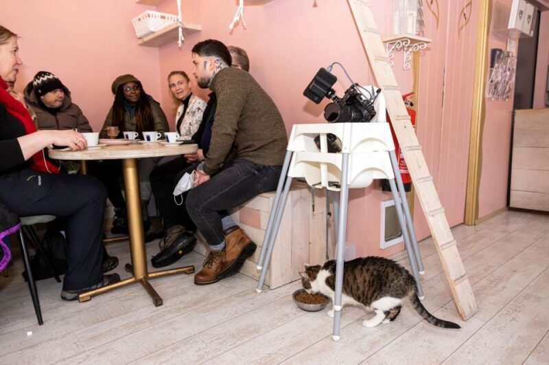 Private Combo Reykjavik Folklore & CatWalk - Final Thoughts