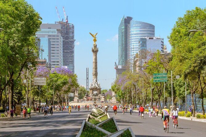 Private Contrasts of Mexico City Neighborhoods Tour - Key Points