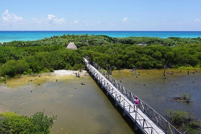 Private cozumel full day adventure - The Sum Up