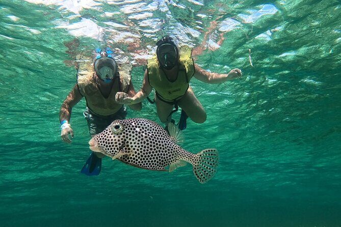 Private Cozumel Jeep and Jade Cavern Cenote Tour - The Sum Up