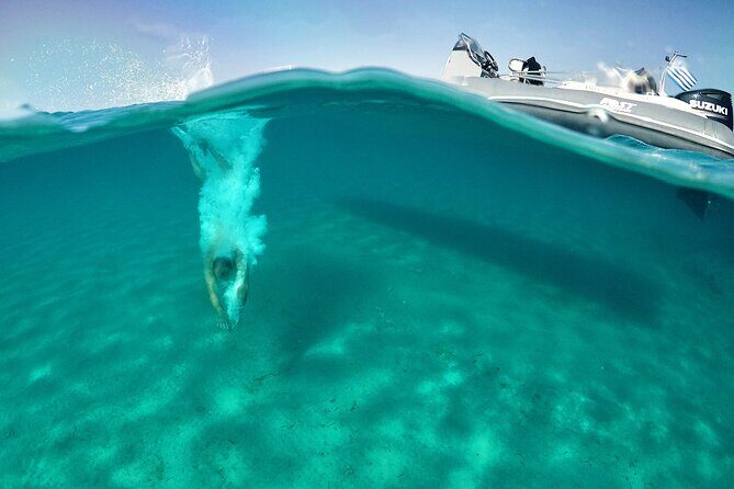 Private cruise: AEGINA ISLAND - MOLI ISLET - PERDIKA - What’s Included and What’s Not