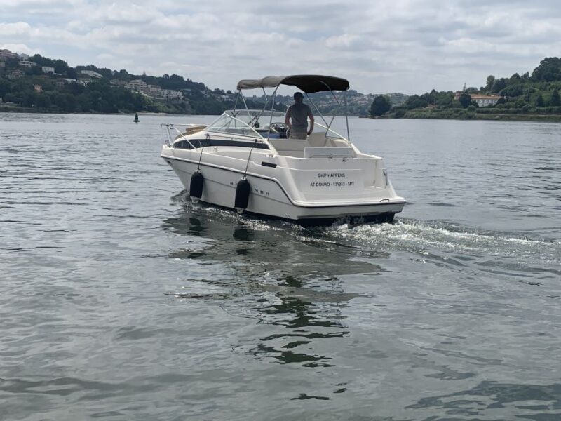 Private Cruise in Rio Douro - 2 hours - Up to 8 Passengers - The Real Traveler Perspective