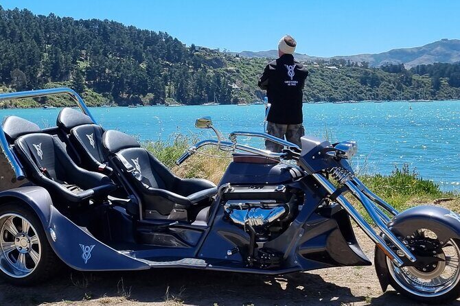 Private Cruise Ship Passengers Tour, Sightseeing in Christchurch - Who Is This Tour Best For?