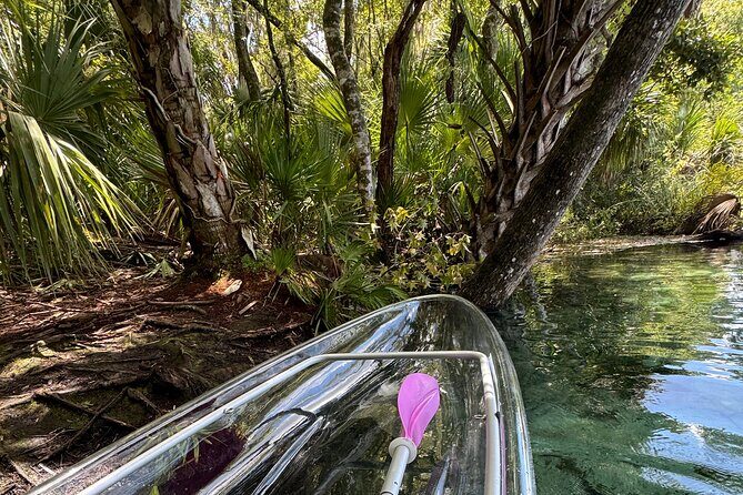 Private Crystal Clear 2 HR Kayak/Paddle Rental on Rainbow River - Key Points