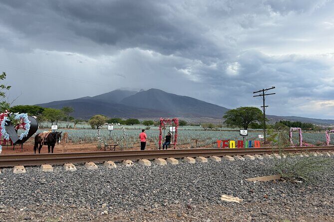 Private, Cultural and Fun Tour to Tequila - FAQ