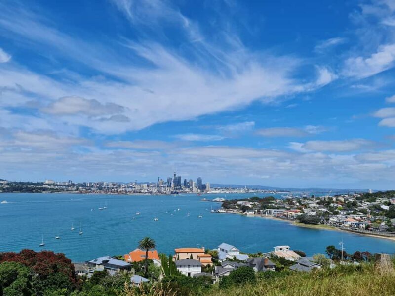 Private Custom: Auckland City Hidden Gem Tour - Why This Tour Could Be a Great Choice