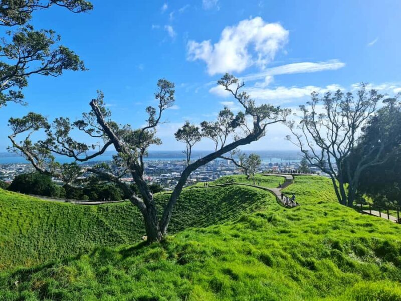 Private Custom: Auckland City Hidden Gem Tour - A Detailed Breakdown of the Itinerary