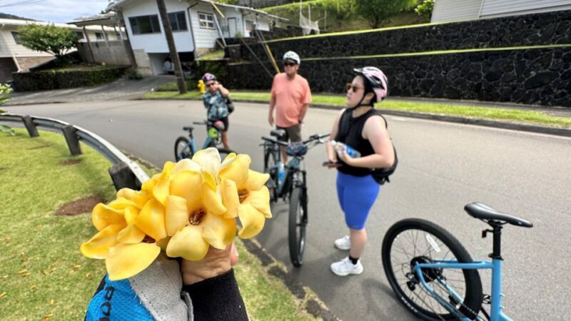 Private Custom Bike or Electric Bike Tour - Exploring Hawaii in a Whole New Way: A Review of the Private Custom Bike or Electric Bike Tour