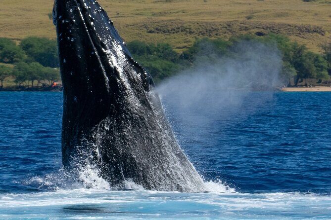 Private Custom Charter in Kawaihae - Frequently Asked Questions