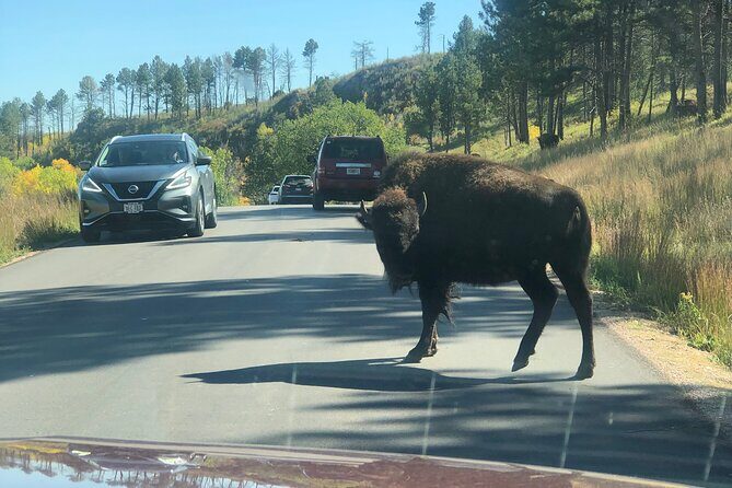 Private Custom Day Tour of the Southern Black Hills - Who Is This Tour Best Suited For?