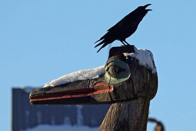 Private Custom Excursion with a Local for up to 14 people - A Deep Dive into the Experience