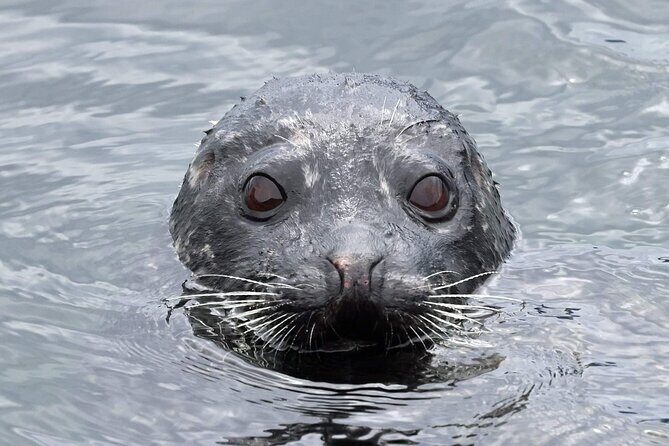 Private Custom Excursion with a Local for up to 14 people - Final Thoughts