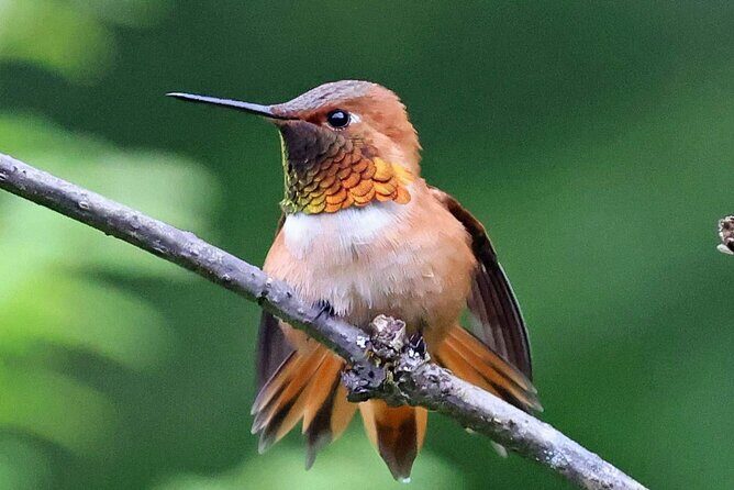 Private Custom Excursion with a Local for up to 14 people - Final Words