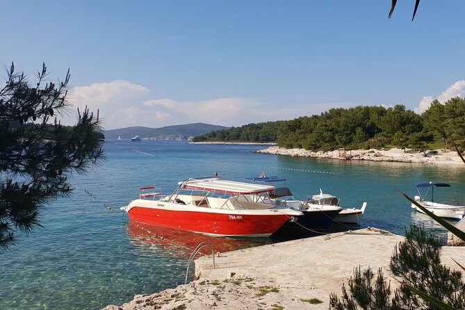 Private Custom Island Hopping Speedboat Tour from Hvar - Key Points