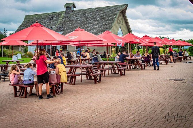 Private Custom-Made Niagara Falls Wine, Beer, and Spirits Tour - Frequently Asked Questions