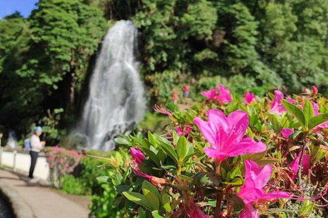 Private Custom Tour in São Miguel Island - The Value of a Private Custom Tour