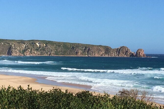 Private custom Tour of Phillip Island With Penguin Parade - FAQ About the Phillip Island Private Tour