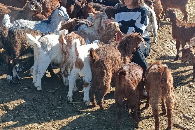 Private Custom Tours to Thessaloniki - FAQ