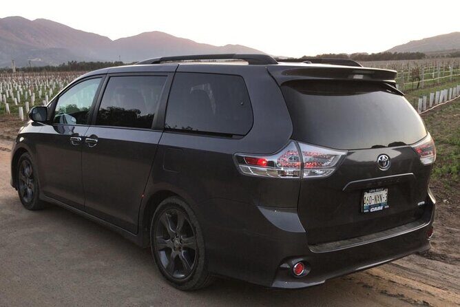 Private Custom Transport in Valle for 5 or 6 People Wine Food - A Detailed Look at the Private Transport Experience in Valle de Guadalupe