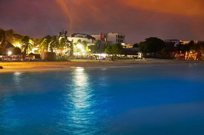 Private Custom Walking Tour with a Local Guide Playa del Carmen - FAQ