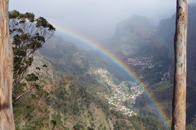 Private & Customizable Safari 4x4 Half-Day Shore Excursion - A Deep Dive into the Tour Experience