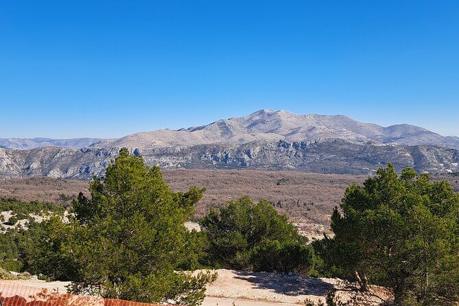 Private Customizable Tour of Croatia Via Minivan with a Guide - FAQ