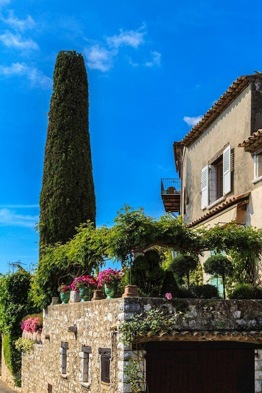 Private Customized French Riviera Tour from Port Villefranch - FAQ