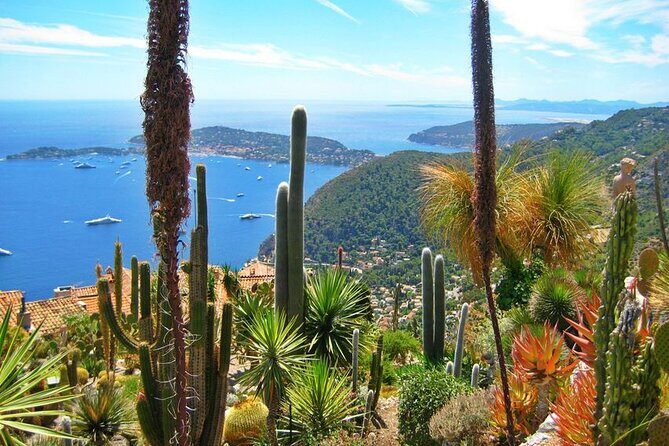 Private Customized French Riviera Tour from Port Villefranche 8H - What Travelers Say