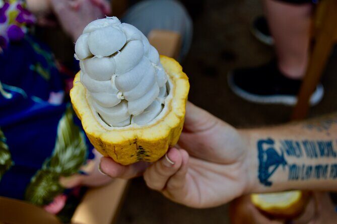 Private Customized Oahu Full Day Tour - FAQ