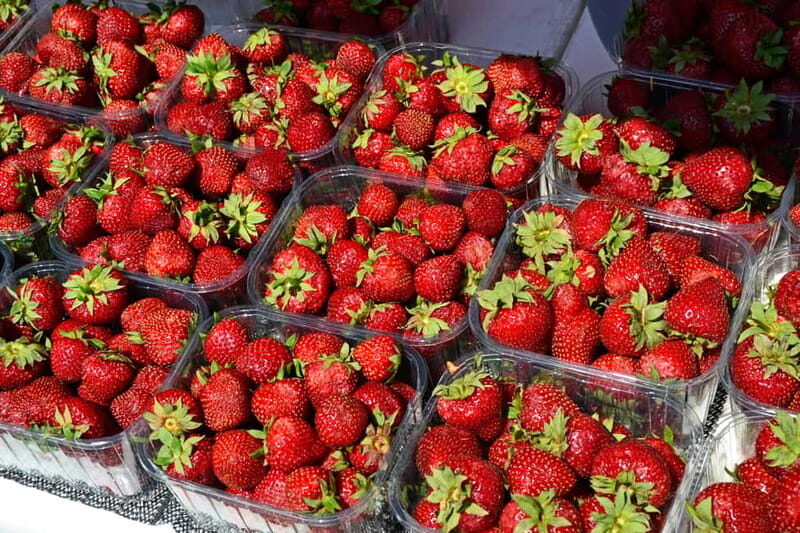 Private Cycle Tour in Helsinki, 4h - The Value of a Guided Private Bike Tour