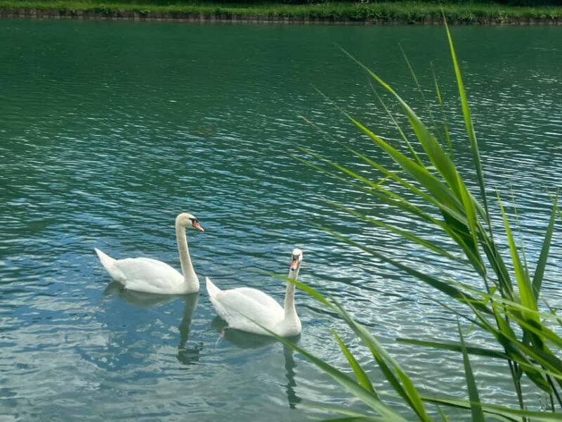 Private day - Cruise through the Champagne vineyards - FAQ