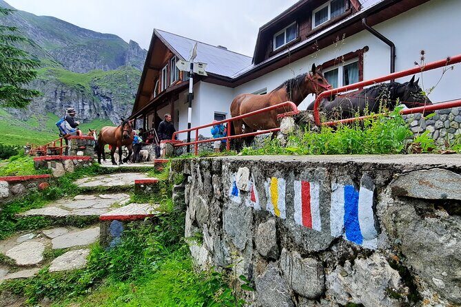 Private day hike from Brasov to Malaiesti Cottage - Exploring the Itinerary: What You Can Expect