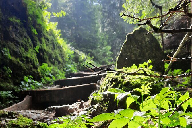 Private day hike from Brasov to Malaiesti Cottage - FAQ