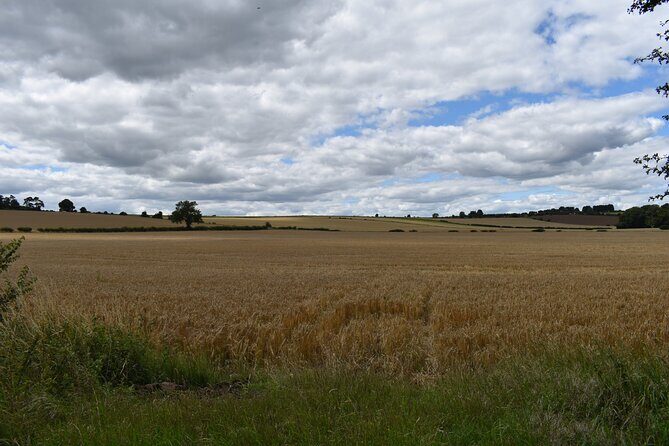 Private Day in the Cotswolds Tour - What’s the Overall Experience Like?