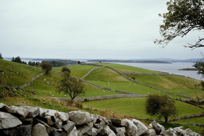 Private Day Tour Cliffs of Moher from Dublin - Pickup and Early Departure