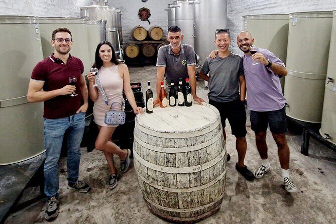 Private Day Tour Discovering Hidden Gems of Novi Sad in Luxury - Who Is This Tour Best For?