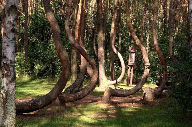 Private Day Tour from Berlin to Szczecin Poland - Who Should Consider This Tour?