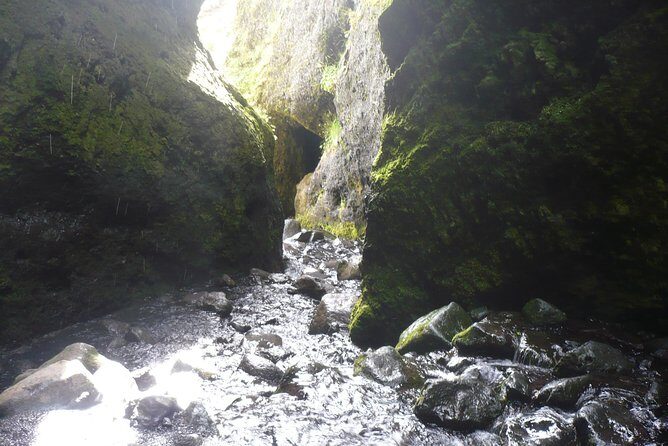 Private Day Tour from Höfn - The Eastfjords - Logistics and Practicalities