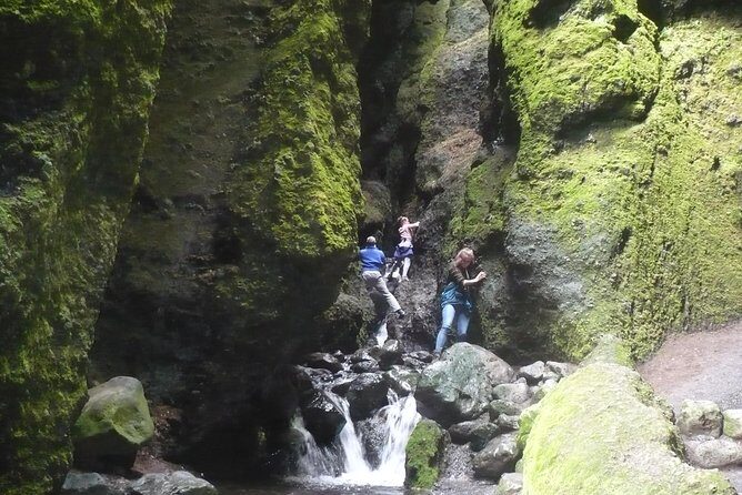 Private Day Tour from Höfn - The Eastfjords - Final Thoughts: Who’s It For?