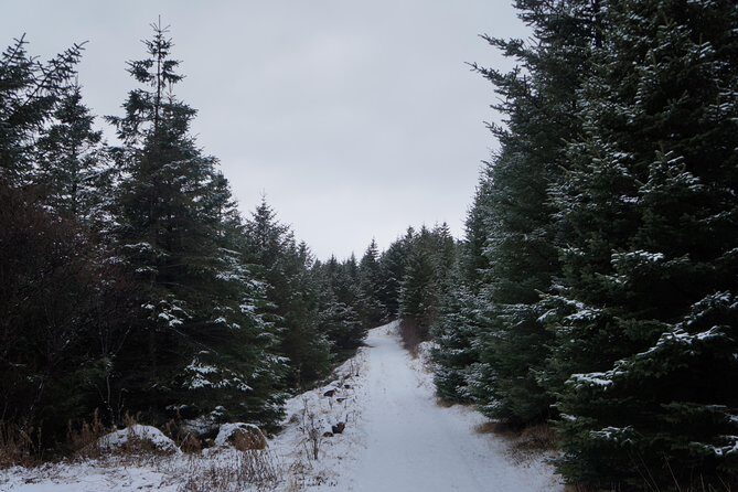 Private Day Tour from Höfn - The Eastfjords - FAQ
