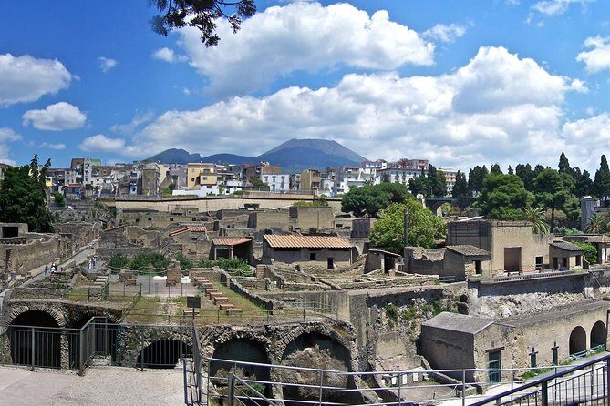 Private Day Tour from Rome to Pompeii and Herculaneum with Hotel Pick up - An Inside Look at the Tour Experience